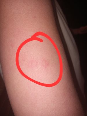 Tropicana Laughlin - A Caesars Rewards Destination by null