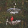 Wild Birds Unlimited
