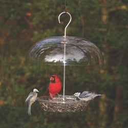 Wild Birds Unlimited - Dinner Bell Feeder