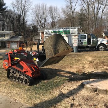Tim W Frazier Tree Service - Tree Services Near Me - Culpeper, Virginia Tim W Frazier Tree Service - Tree Services Near Me - Culpeper, Virginia