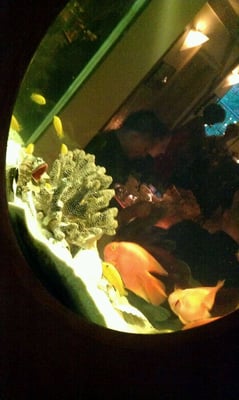 632 On Hudson by null