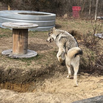 Howling Woods Farm - Animal Shelters Near Me - Jackson, New Jersey