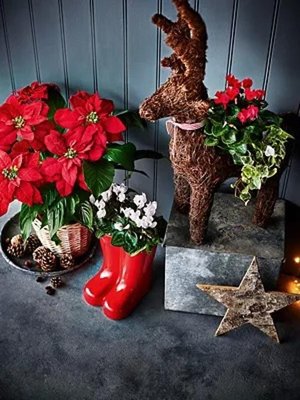 Marks & Spencer by null