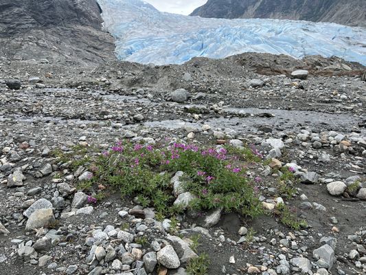 Above and Beyond Alaska by null
