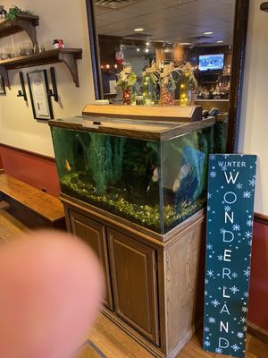 Ann & Tony's by null