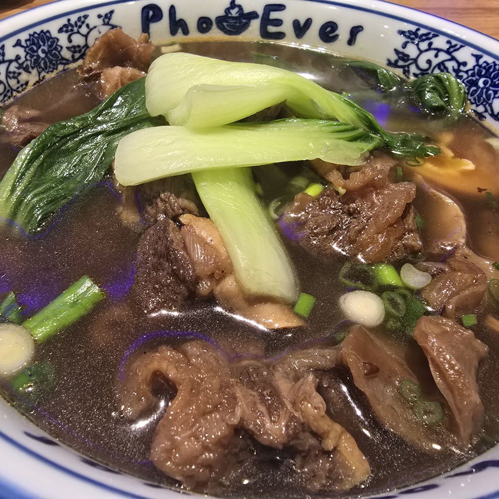 Pho Ever - Taiwanese beef noodle soup with bokchoy, white radish, green onions & half a marinated egg. - Vietnamese Near Me - Hoboken, New Jersey Pho Ever - Taiwanese beef noodle soup with bokchoy, white radish, green onions & half a marinated egg. - Vietnamese Near Me - Hoboken, New Jersey