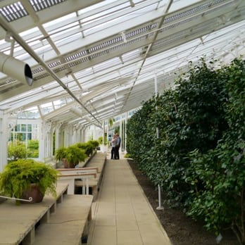 Chiswick House & Gardens - Inside the greenhouse. - Landmarks & Historical Buildings Near Me - London, XGL