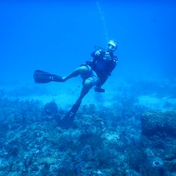 Kirk's Dive & Surf