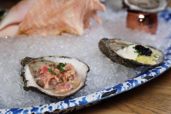NICO | Oysters + Seafood by null