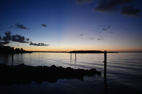 Mangrove Marina by null