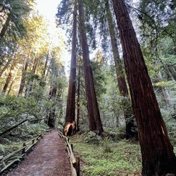 Muir Woods Visitor Center