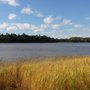 Photo of The Raymond & Simone Savage Wildlife Preserve