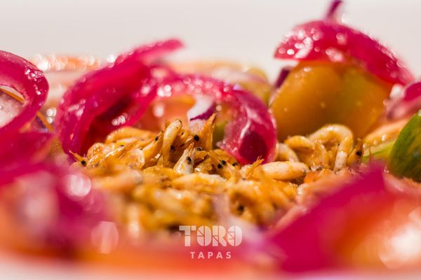 Toro tapas by null