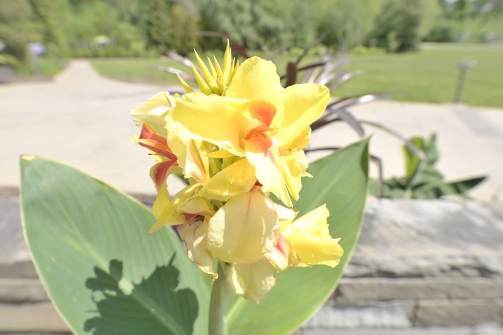 ITHACA GUITAR WORKS Updated October 2024 16 Reviews 215 N Cayuga