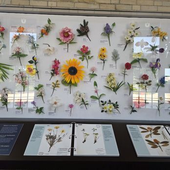 United States Botanic Garden - Botanical Gardens Near Me - Washington, DC, District of Columbia