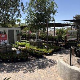 Moon valley Nursery Moon valley Nursery