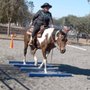 Kacey Equitation & Horsemanship