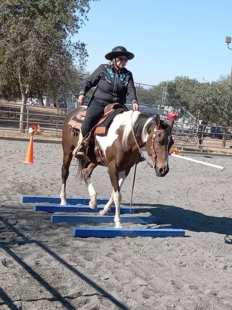 Kacey Equitation & Horsemanship Logo