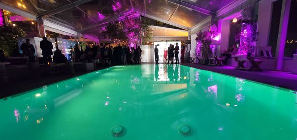 Ivory on Sunset by null