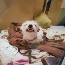 Van Alstine's Veterinary Clinic - We call her little Miss Smiley!!