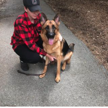 Multipurpose K9 Training - Pet Training Near Me Multipurpose K9 Training - Pet Training Near Me