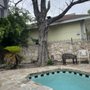 Alamo City Arbor Care