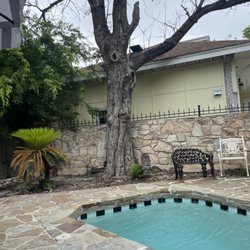 Alamo City Arbor Care