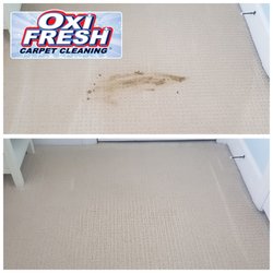 Oxi Fresh Carpet Cleaning