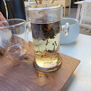 Steep - Tea Rooms Near Me - Los Angeles, California Steep - Tea Rooms Near Me - Los Angeles, California