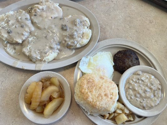 Tudor's Biscuit World by null