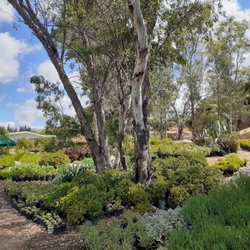 Chatsworth Nursery & Landscape