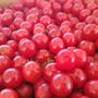 Photo of Oaktree Produce