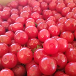 Oaktree Produce