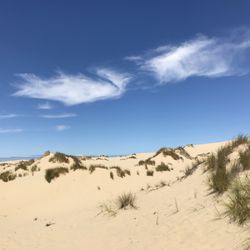 John Dellenback Trailhead - Oregon Dunes