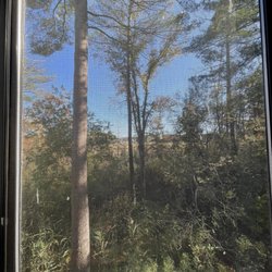 New England Family Acupuncture - View of the trees and wetlands
