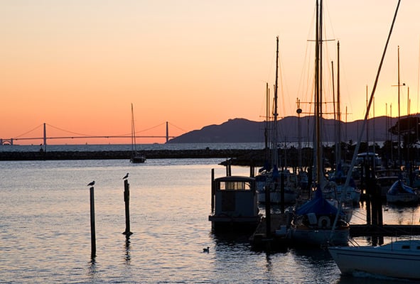 City Cruises by null