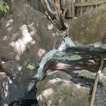 A.G. Aquariums And Ponds - Aquarium Services Near Me A.G. Aquariums And Ponds - Aquarium Services Near Me