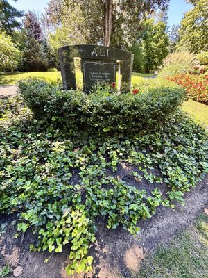Muhammad Ali's Grave by null