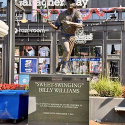 user provided Wrigley Field photo