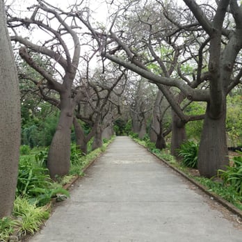 Botanischer Garten Orto Botanico di Palermo - Path - Parks Near Me
