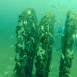 Underwater Museum of Art