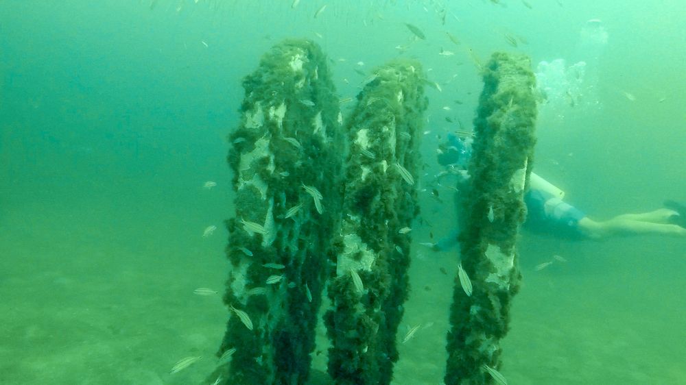 Underwater Museum of Art