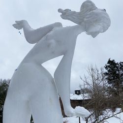 Field Gallery - Snowball Fight!