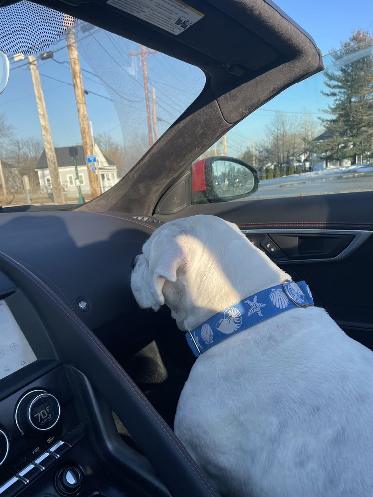 SUNTAR’S KENNELS Updated October 2024 750 Portland Rd, Saco, Maine