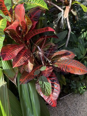 Greater Des Moines Botanical Garden by null