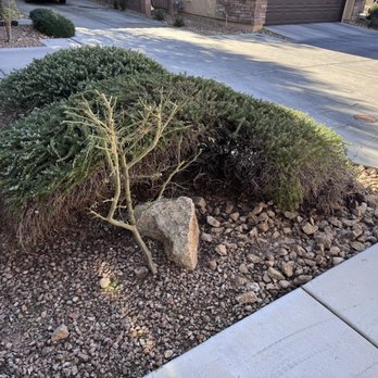 Vegas Landscaping Services - Clean area now. - Gardeners Near Me - Las Vegas, Nevada