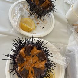 Uni (sea urchins)