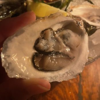 Armitage Alehouse - Delicious oyster - Pubs Near Me - Chicago, Illinois Armitage Alehouse - Delicious oyster - Pubs Near Me - Chicago, Illinois