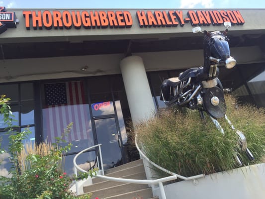 High Stakes Harley Davidson