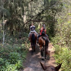 Just Ride